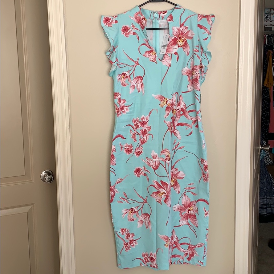 Brand New New York  Company Fitted Dress